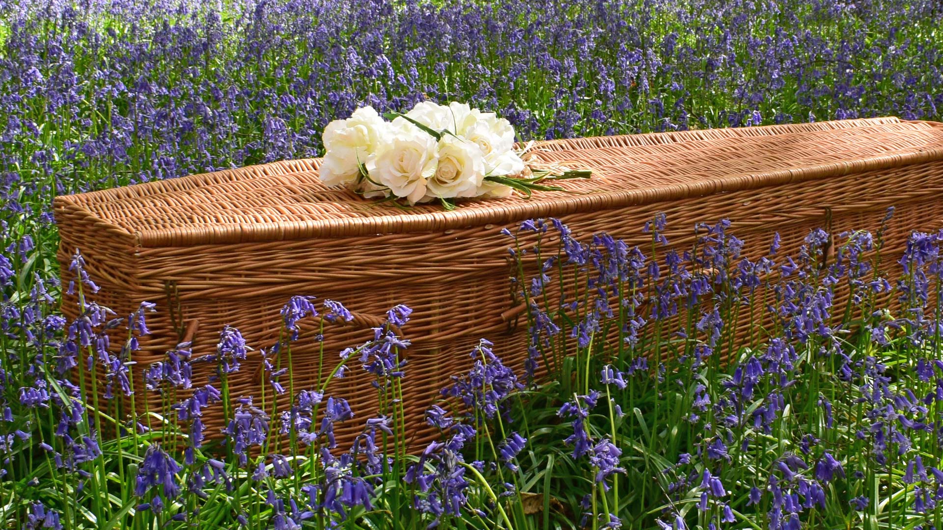 bio degradable coffin