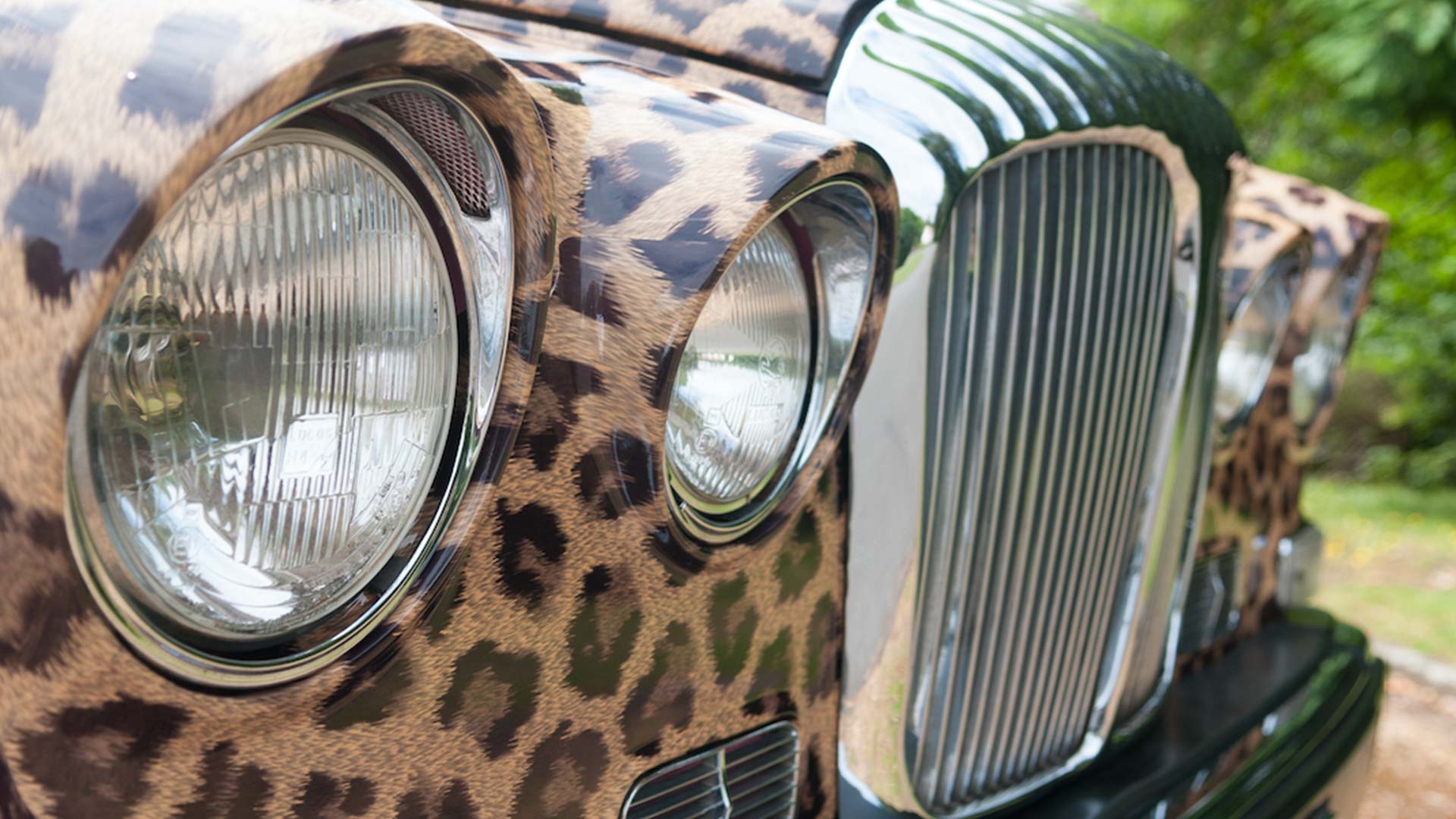 leopard print hearse