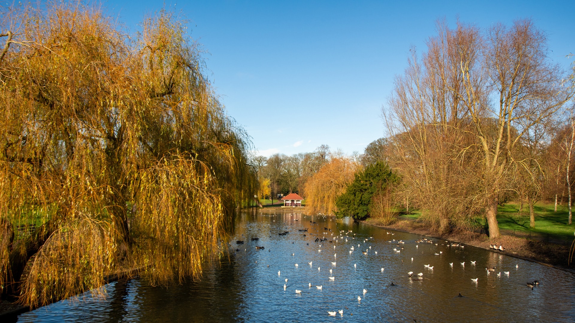 Independent Funeral Directors in Luton